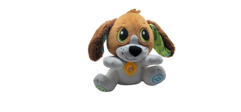 Leapfrog Speak and Learn Puppy. Works, In very Good Condition.